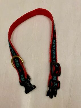 Best Dog Ever Small Breed Dog Collar. Small